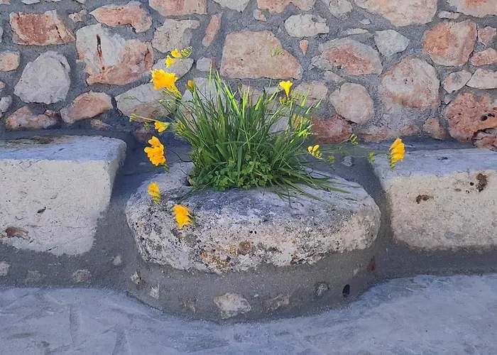 Casa De Calma - Grandpa's House 公寓 Dhavgáta