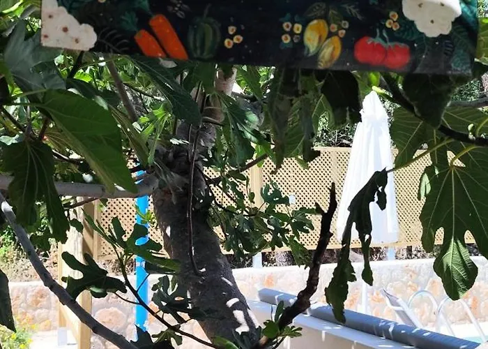 公寓 Casa De Calma - Grandpa's House Dhavgáta