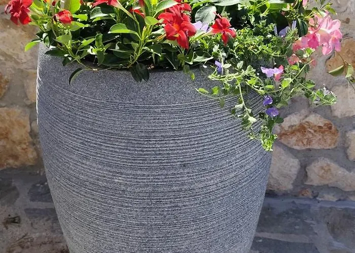 Casa De Calma - Grandpa's House 公寓 Dhavgáta