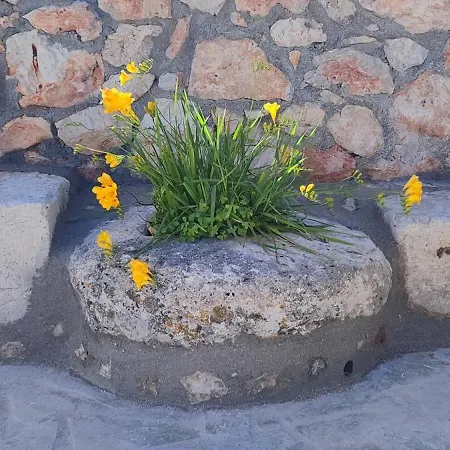 Casa De Calma - Grandpa's House Апартаменты Dhavgata