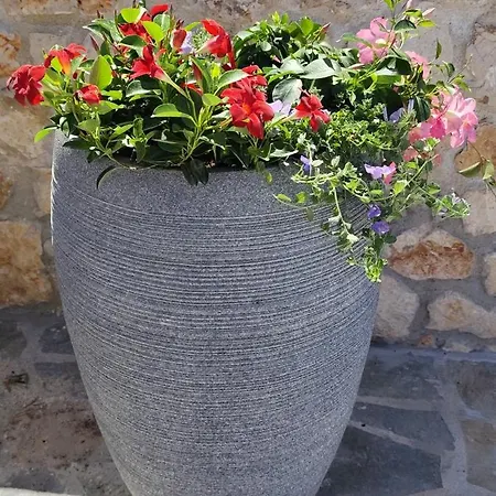 Casa De Calma - Grandpa's House Апартаменты Dhavgata