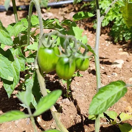 Casa De Calma - Grandpa's House Appartement Dhavgáta